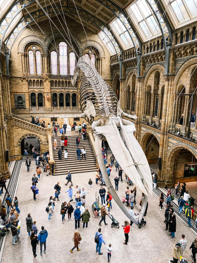 National History Museum 